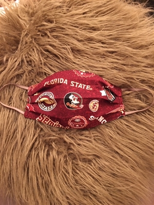 Home made Face Mask-Florida State