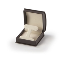 1609ET/CB  BEIGE/BROWN EARRING T BOX
