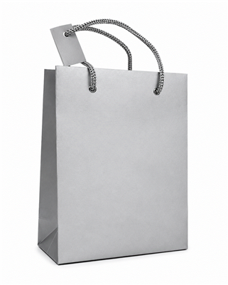 Matte Silver Gray Gift Bag with Rope Handles 6.5 x 5 x 3 Inches