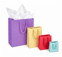 BX3956-MX Paper Totes Bags