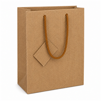 Burlap Print Paper Gift Bag 8 x 4 x 10 inches with rope handles