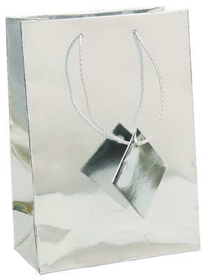 Silver Metallic Paper Gift Bag with Matching Rope Handles