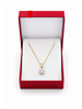 Assorted Color Cardboard Pendant Gift Box with Soft Flocked Foam Insert
