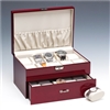 CBW233 - RW 20-Watch Case - keylock