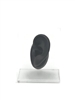 black silicone ear display for jewelry realistic ear model for earrings and piercing
