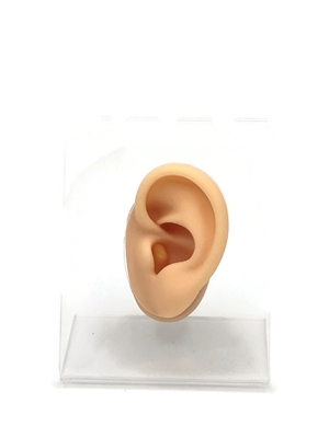ear jewelry display stand realistic ear model for earrings and piercing display