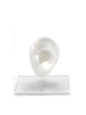 white silicone ear display for jewelry realistic earring and piercing display model